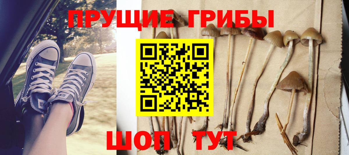 Галлюциногенные грибы MAGIC MUSHROOMS Маркс